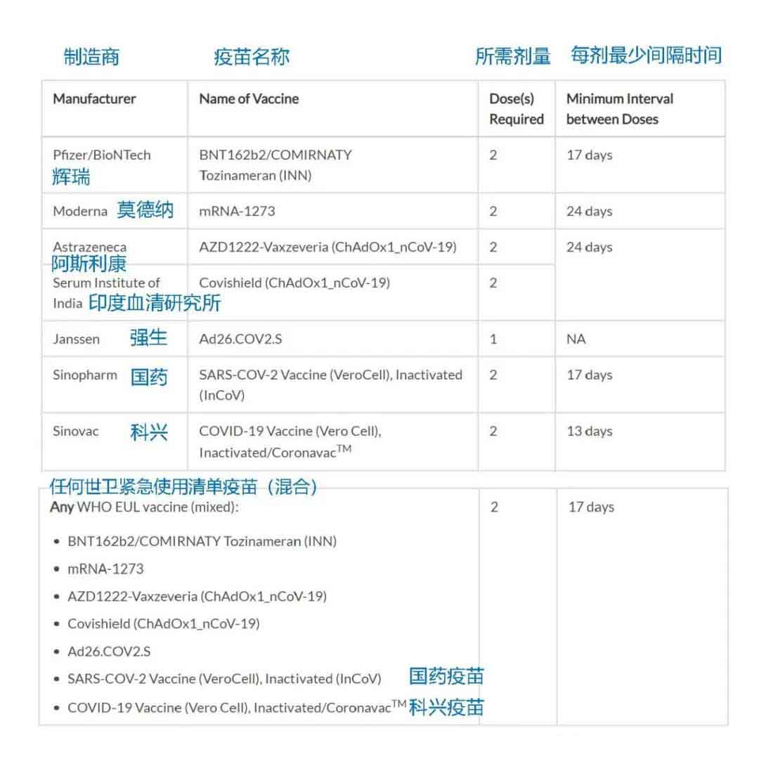 如何下载英文版的疫苗接种证明,如何获得中英文版的疫苗接种报告