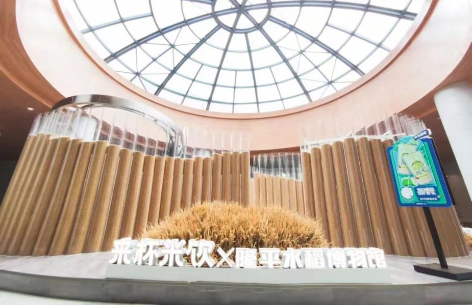 芙蓉古镇旅游必备美食推荐,芙蓉古城有什么好吃的