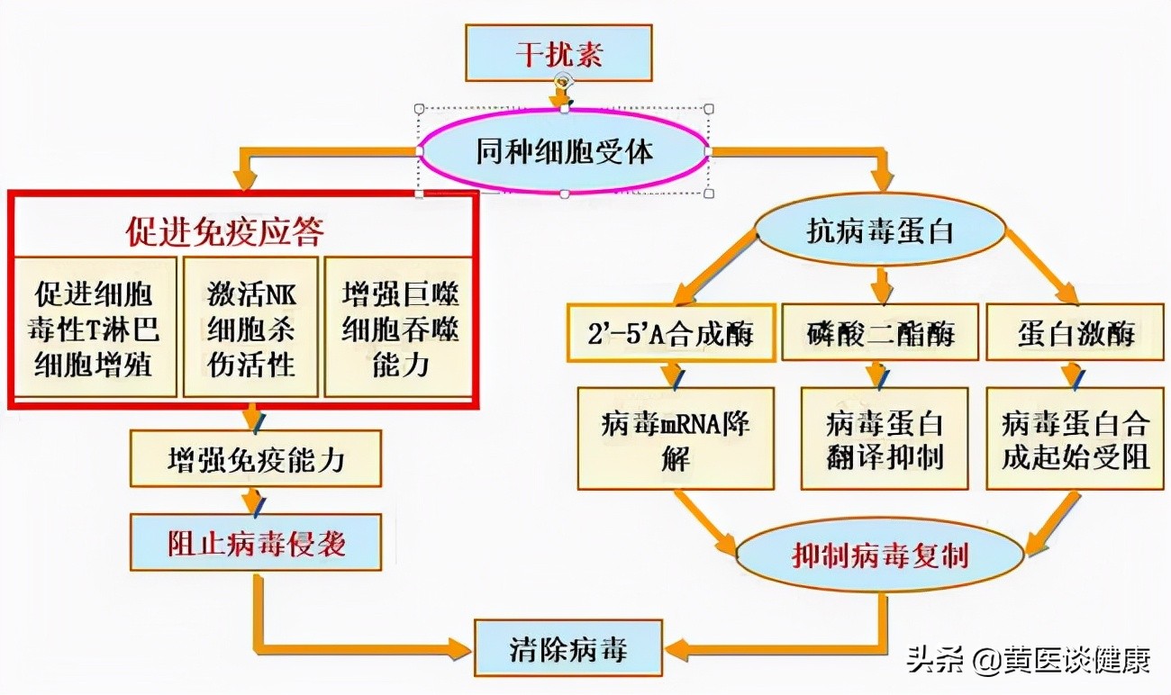 乙肝dna10的8次方能打干扰素吗,乙肝dna定量10的8次方需要抗病毒吗