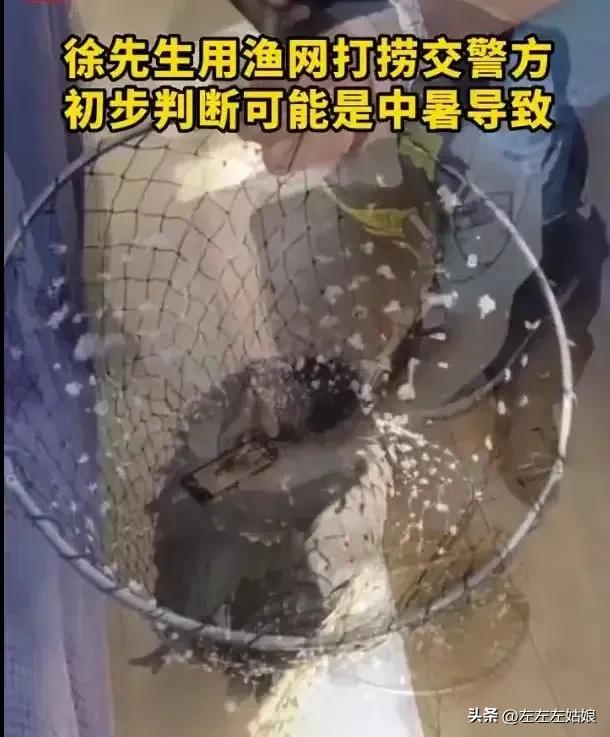 不仅仅是人，立秋后的动物居然还中暑了！太热了