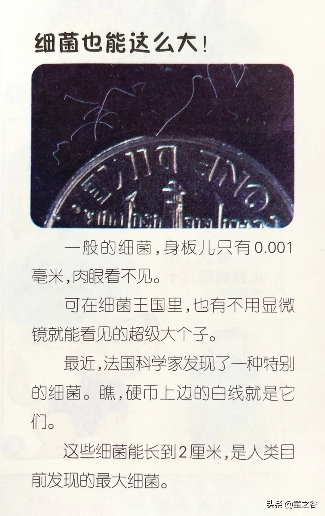 国内第一份新闻故事报,小学生也能轻松读懂时事热点