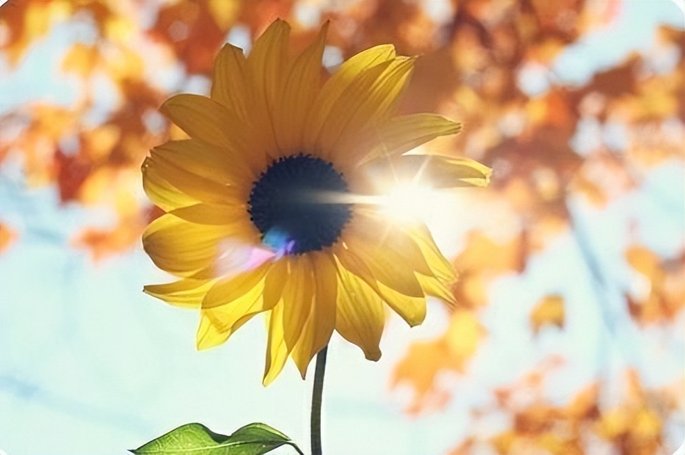 朋友圈说说配图简单干净,失眠的说说发朋友圈短句干净