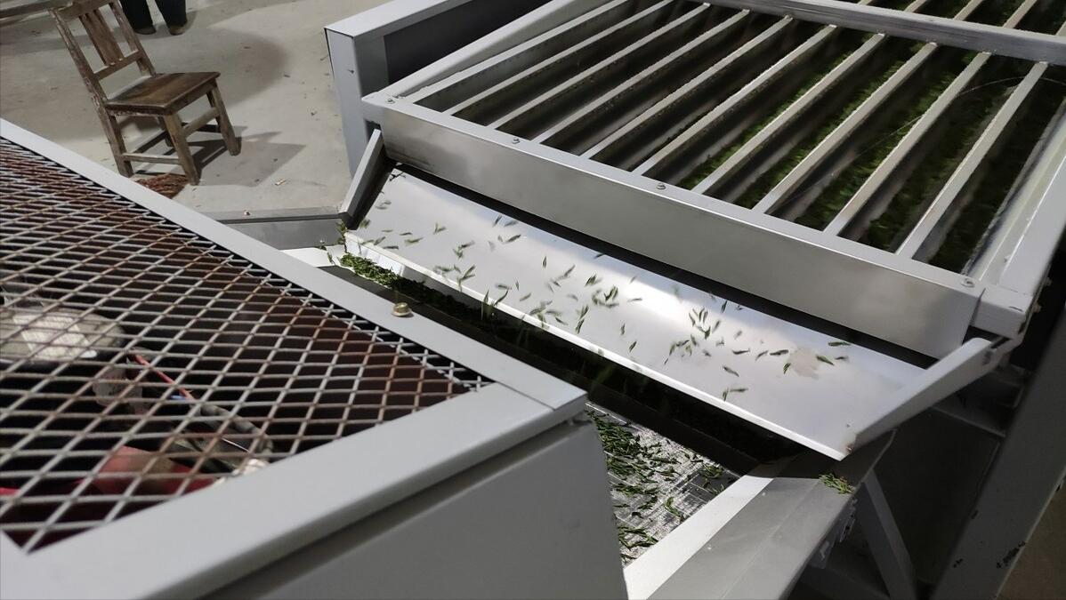 免税期间固定资产进项税,已抵扣的固定资产怎么申报增值税