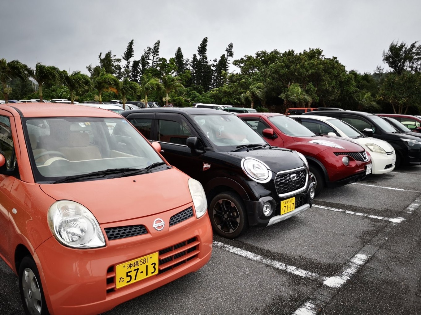 暑期档2019年,2019年暑期档