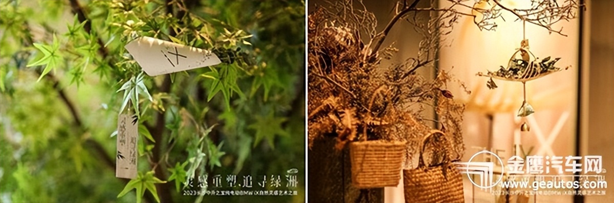 2023长沙中升之宝纯电动BMWiX自然灵感艺术之旅