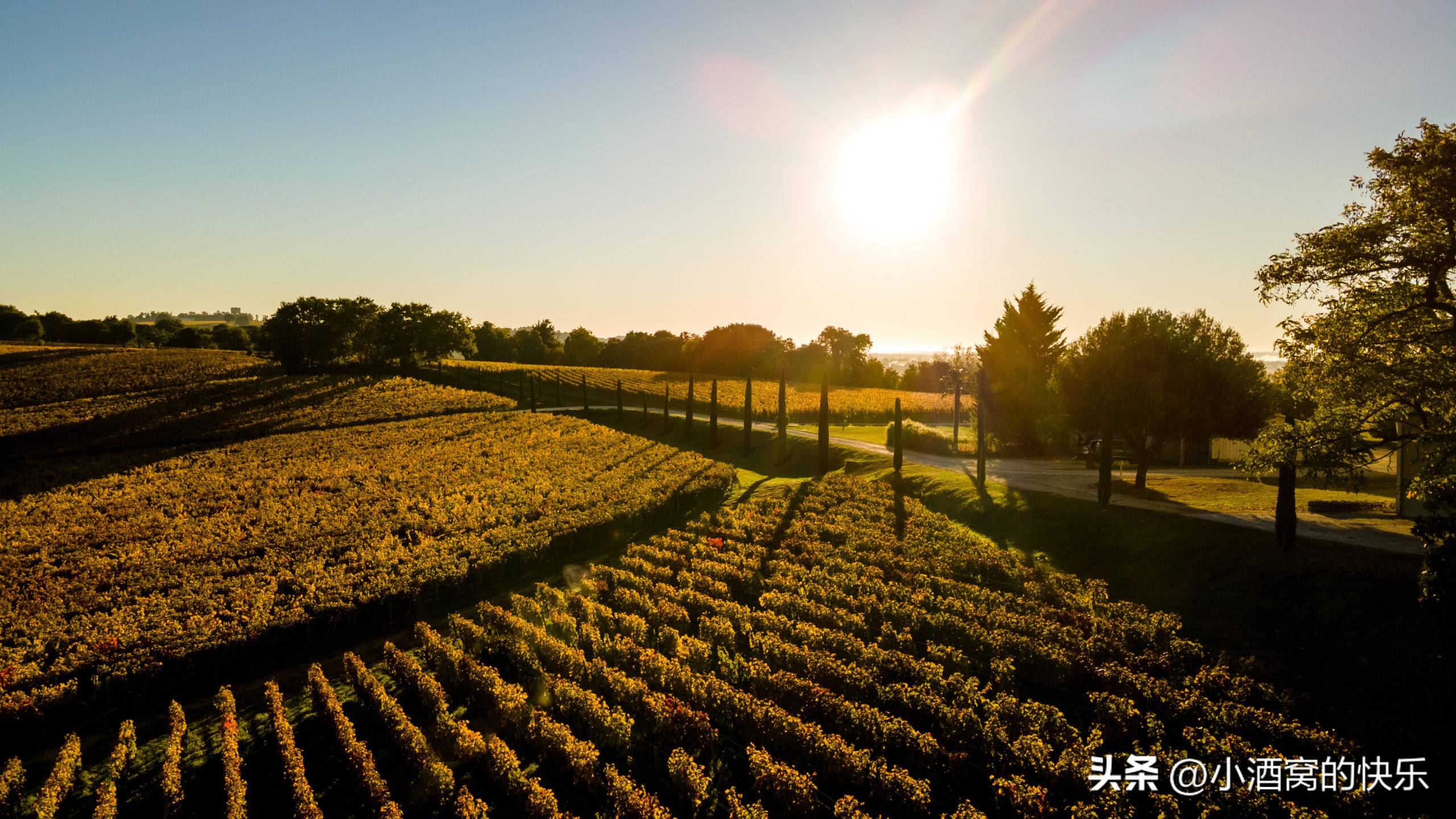 波尔多凯尔西酒庄chateauquercy,法国波尔多麦隆堡酒庄