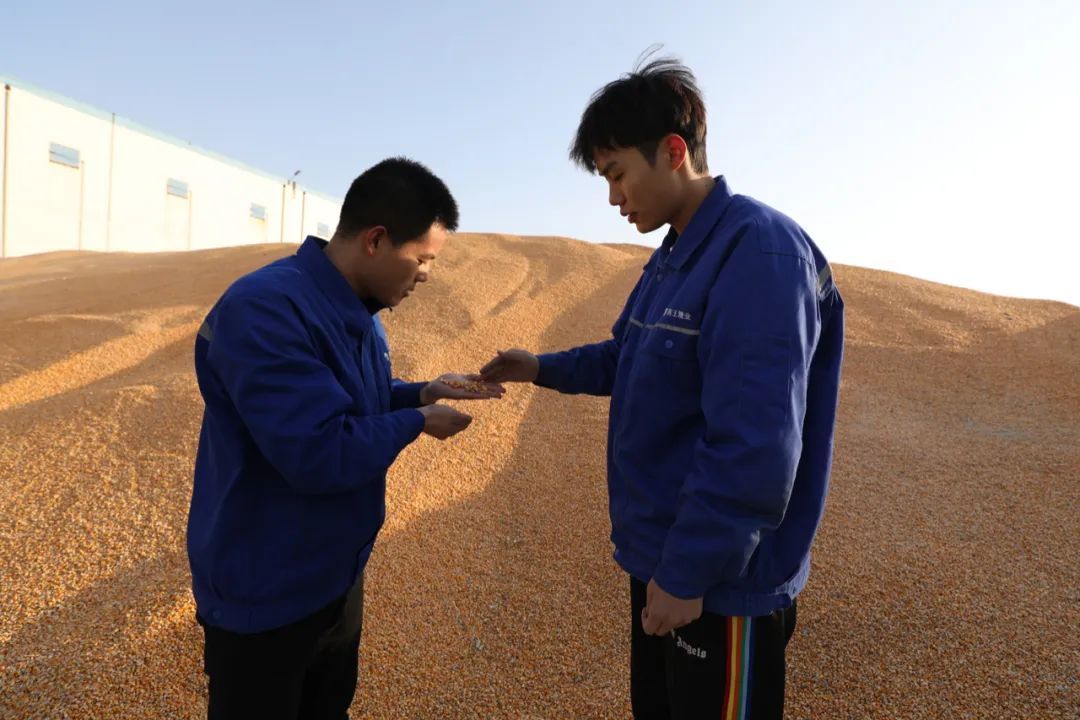 向坚守岗位的职工拜年,向春节坚守岗位的一线人员拜年