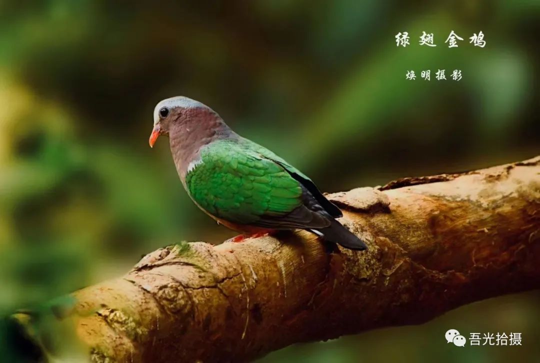 精彩绝伦作品图片,锦言精华作品