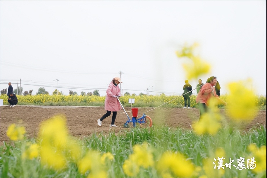 一个乡镇投资10个亿的项目,乡镇投资3个亿的项目