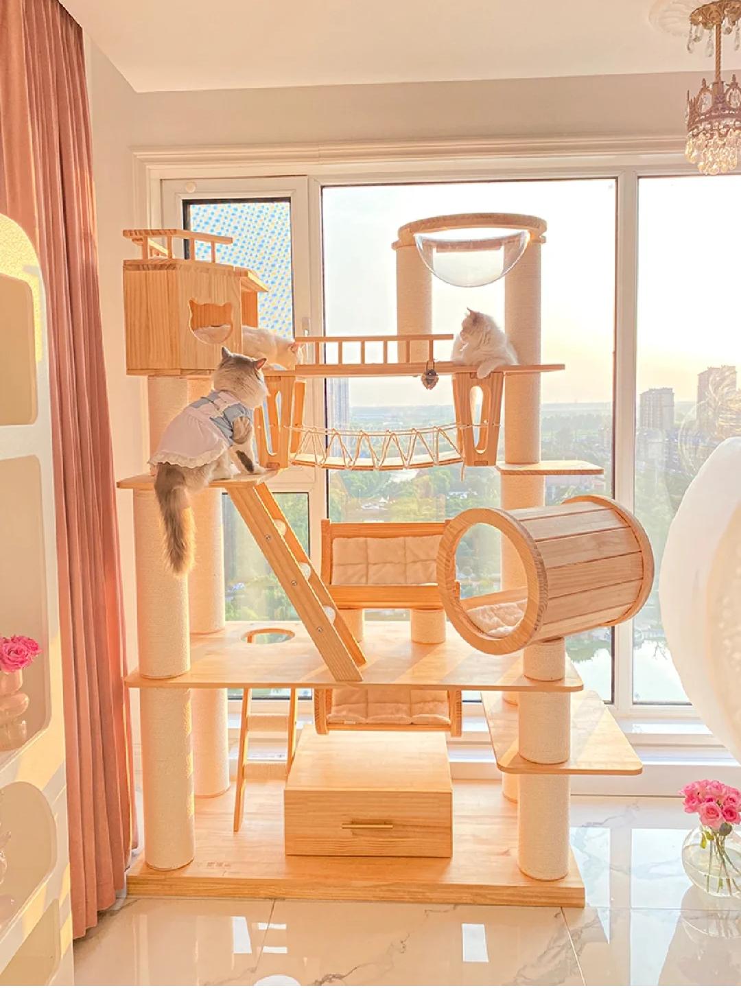 网购省钱的5个小绝招,网购学会这些省钱关键词