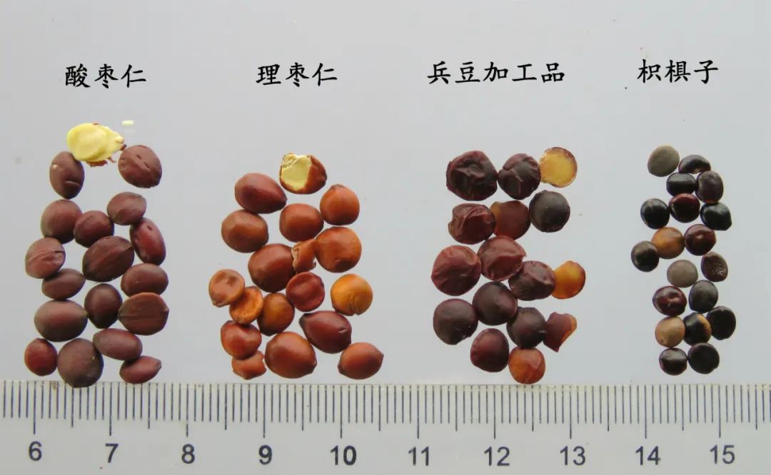 嗨，你家酸枣仁买对了吗？