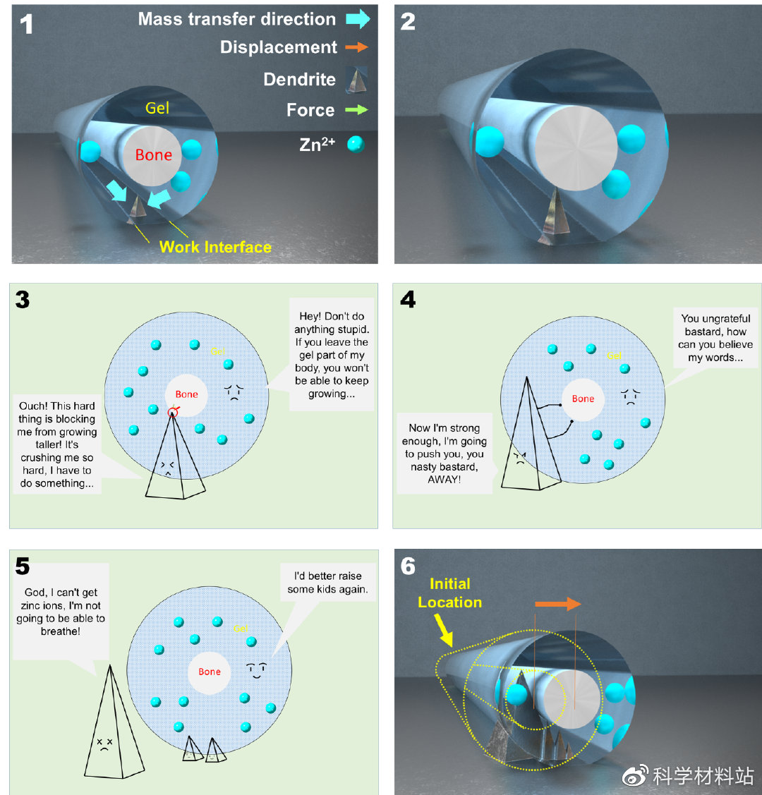 局部凝胶化纤维素隔膜为锌离子电池提供无枝晶阳极