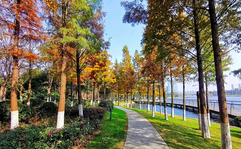 南京栖霞区免费游玩景点推荐,南京一百个免费景点