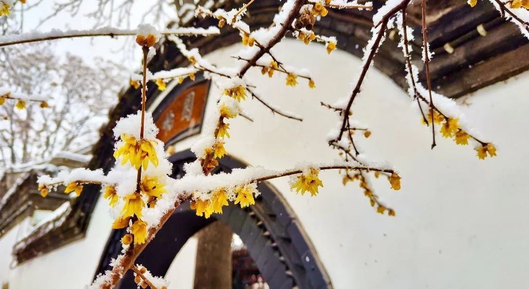 石家庄下雨哪里风景最美,石家庄冬季风景好的地方