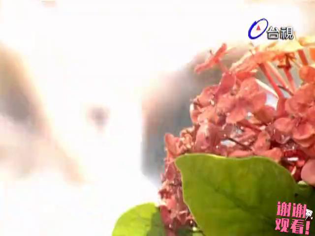 下一站幸福光熙大结局完整版,下一站幸福合集2