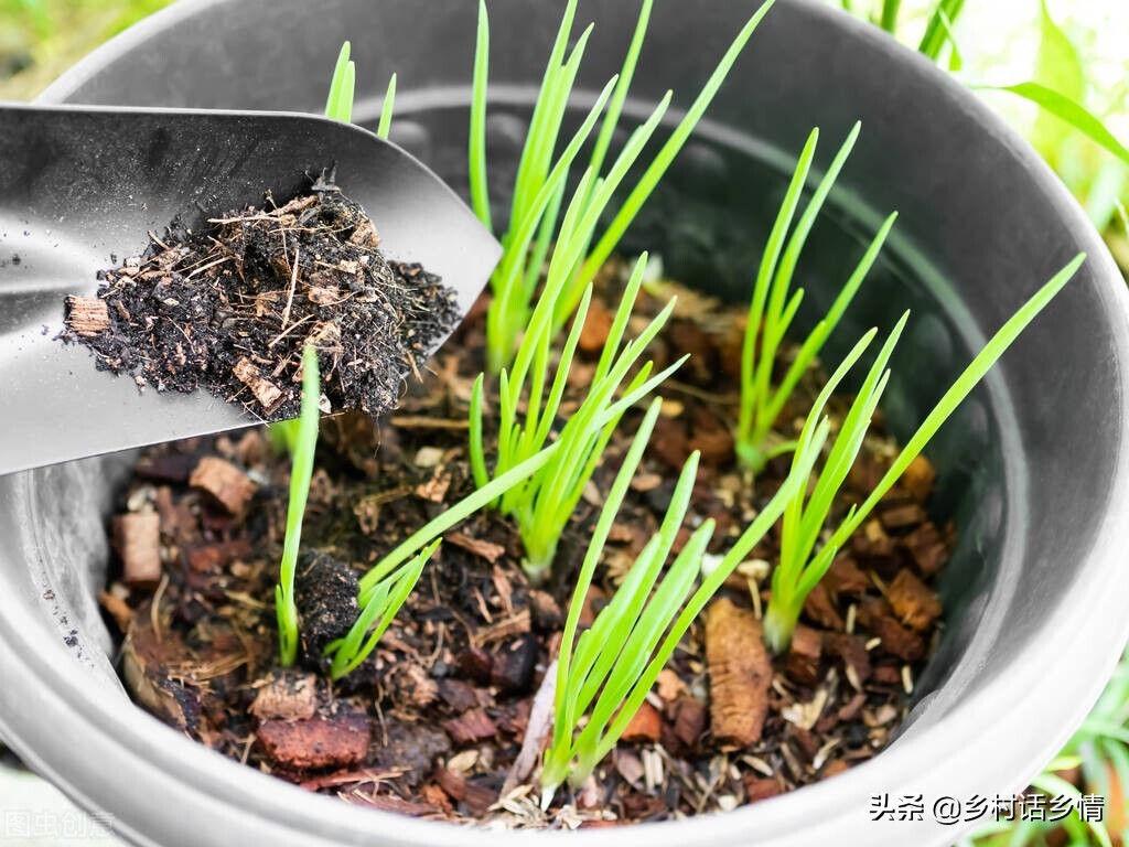 种植的农田土壤板结如何快速改良,土壤板结土办法如何解决