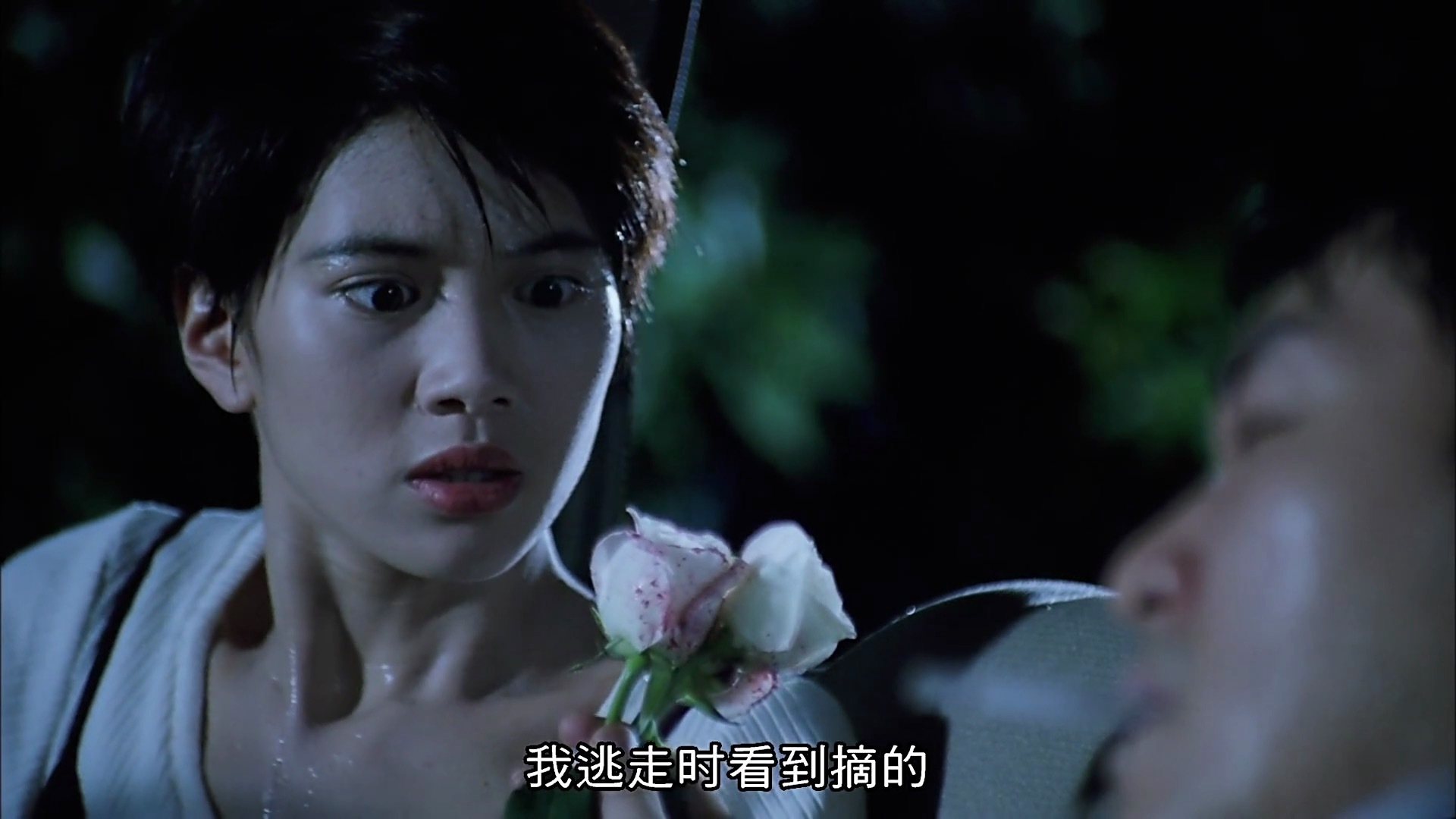 情断周扬青完整版,朱茵周星驰伤感情史