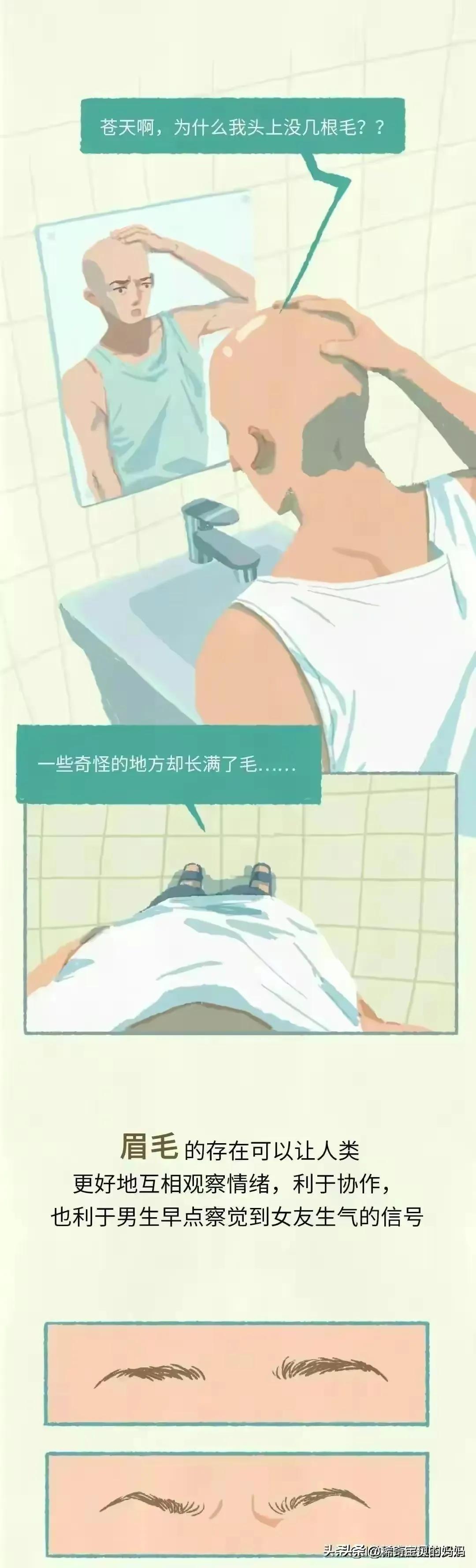 人类的毛发都是黑色的吗,人类体毛是为了什么存在的