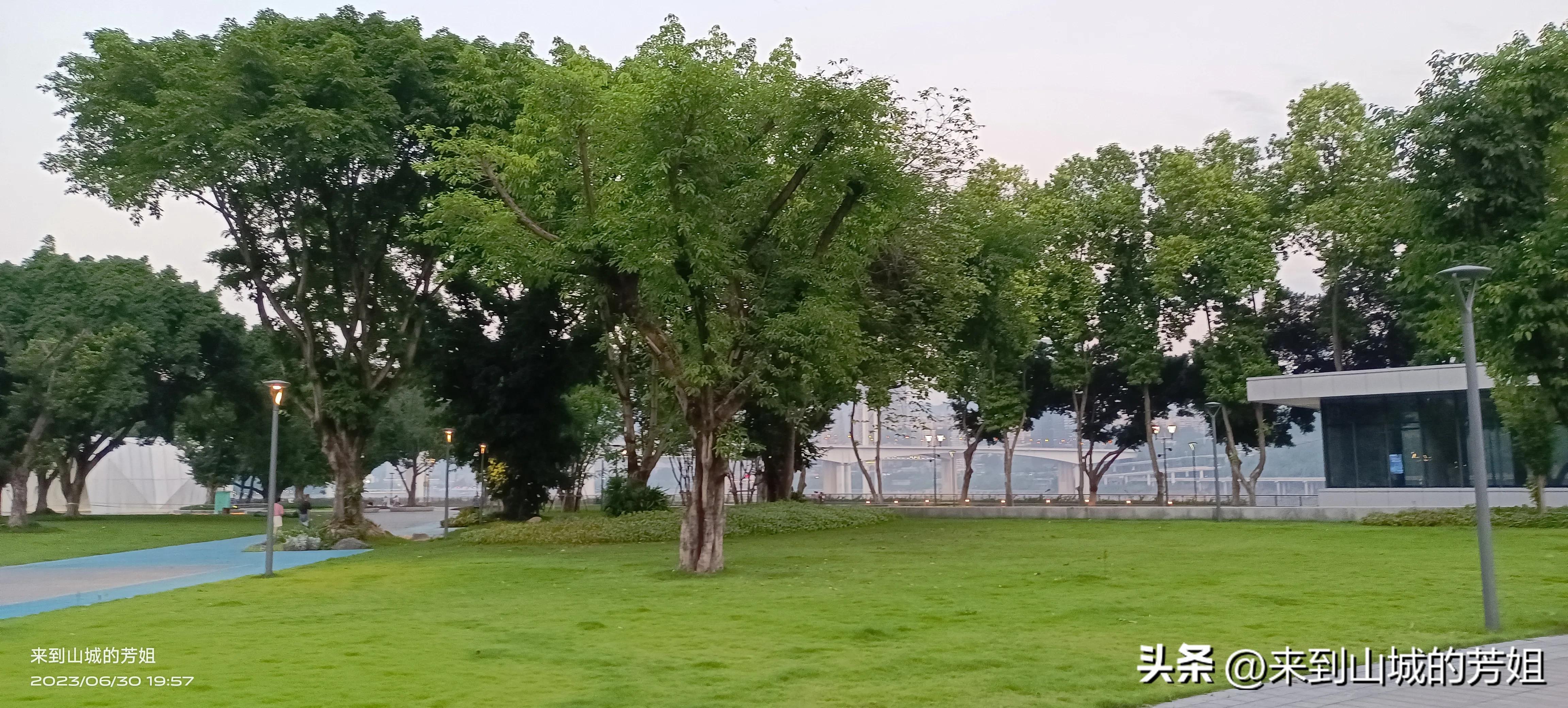 空军地勤兵最好的专业,精算师专业最好的大学