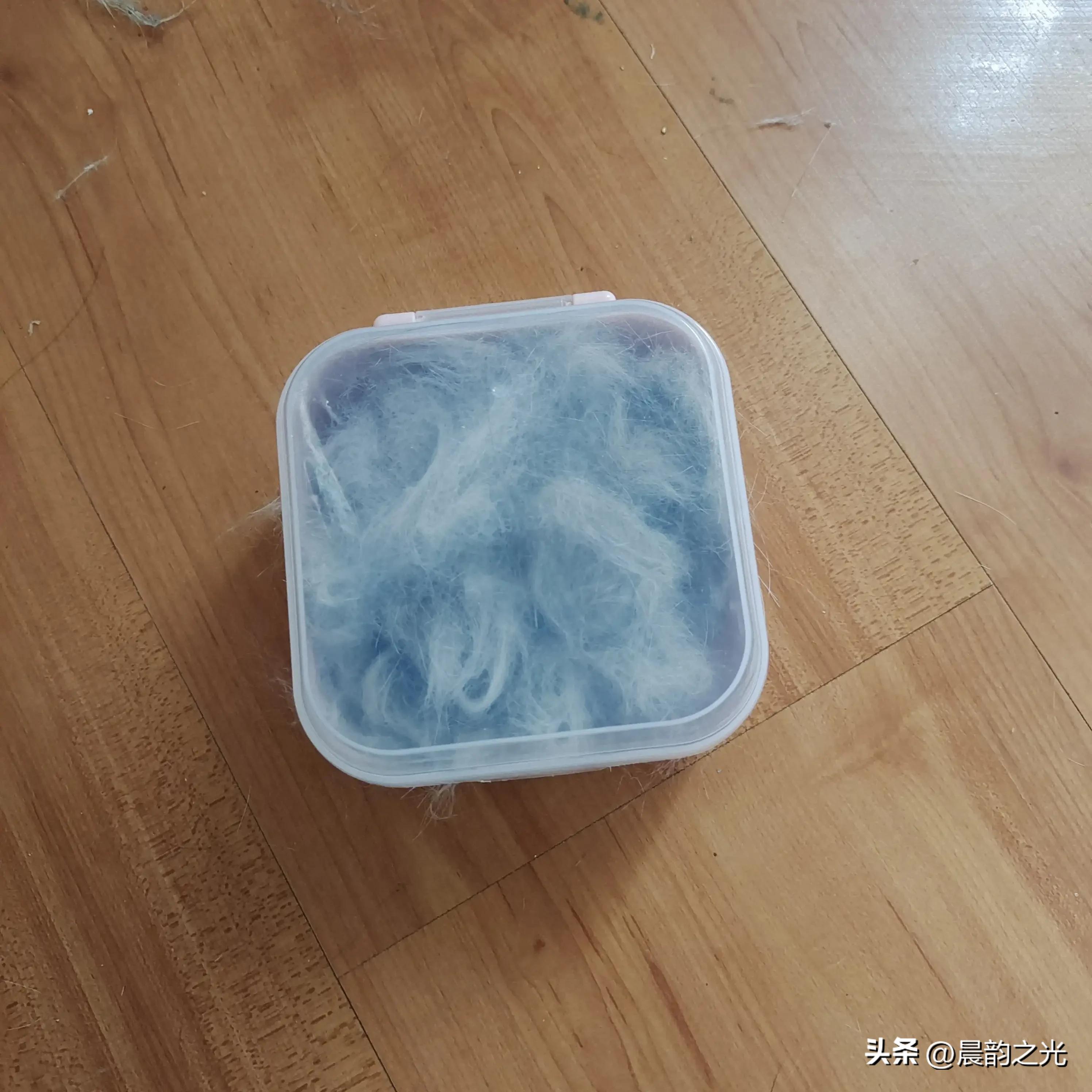 几百块钱买的猫靠谱吗,几百块的猫是真的吗