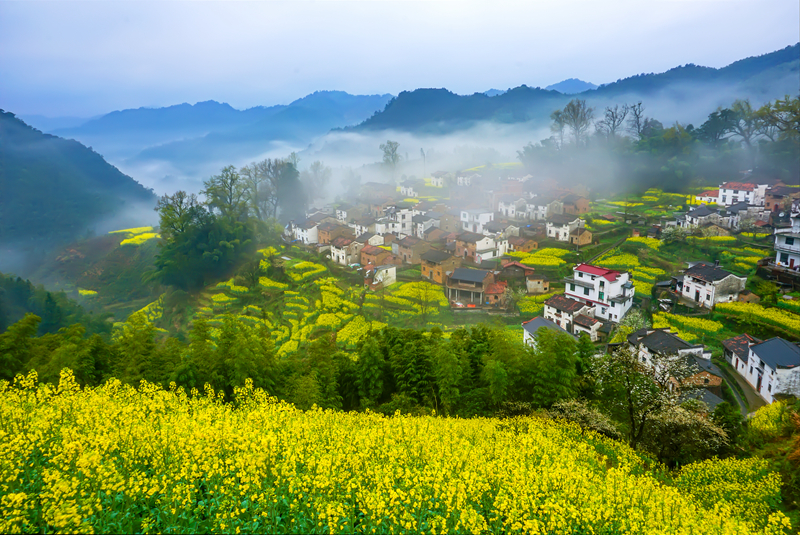 婺源摄影写真,2019梦幻之秋婺源三天摄影创作团