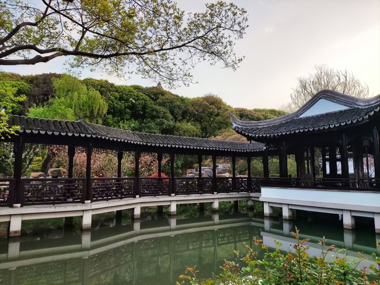 苏州旅游景点大全一日游最佳路线,苏州旅游攻略一日游最佳线路图