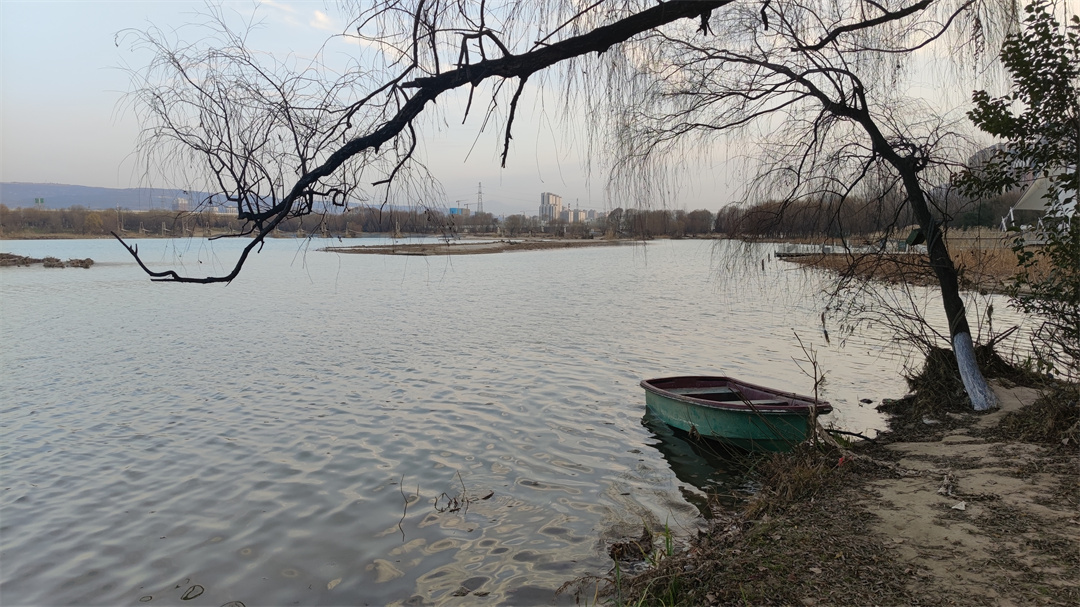 西安人工湿地公园,西安最好的湿地公园