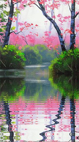 难得一见绝美一清二楚郁金香壁纸,难得一见雪景壁纸