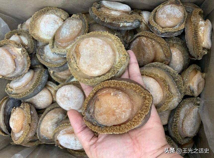 为什么富豪们如此青睐新加坡,新加坡为什么如此有钱