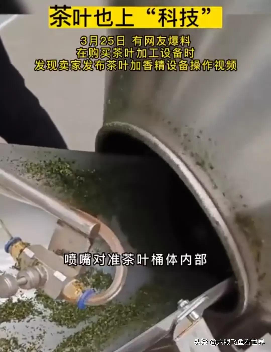 茶叶也有科技吗,茶树茶叶全是虫洞喷什么药