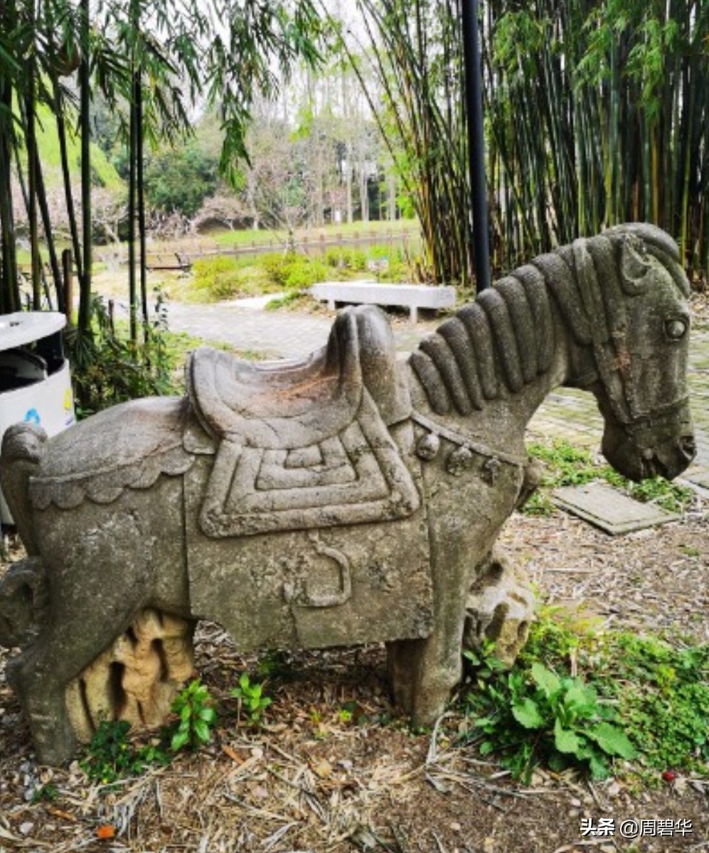 常德市丁玲,常德丁玲最新消息