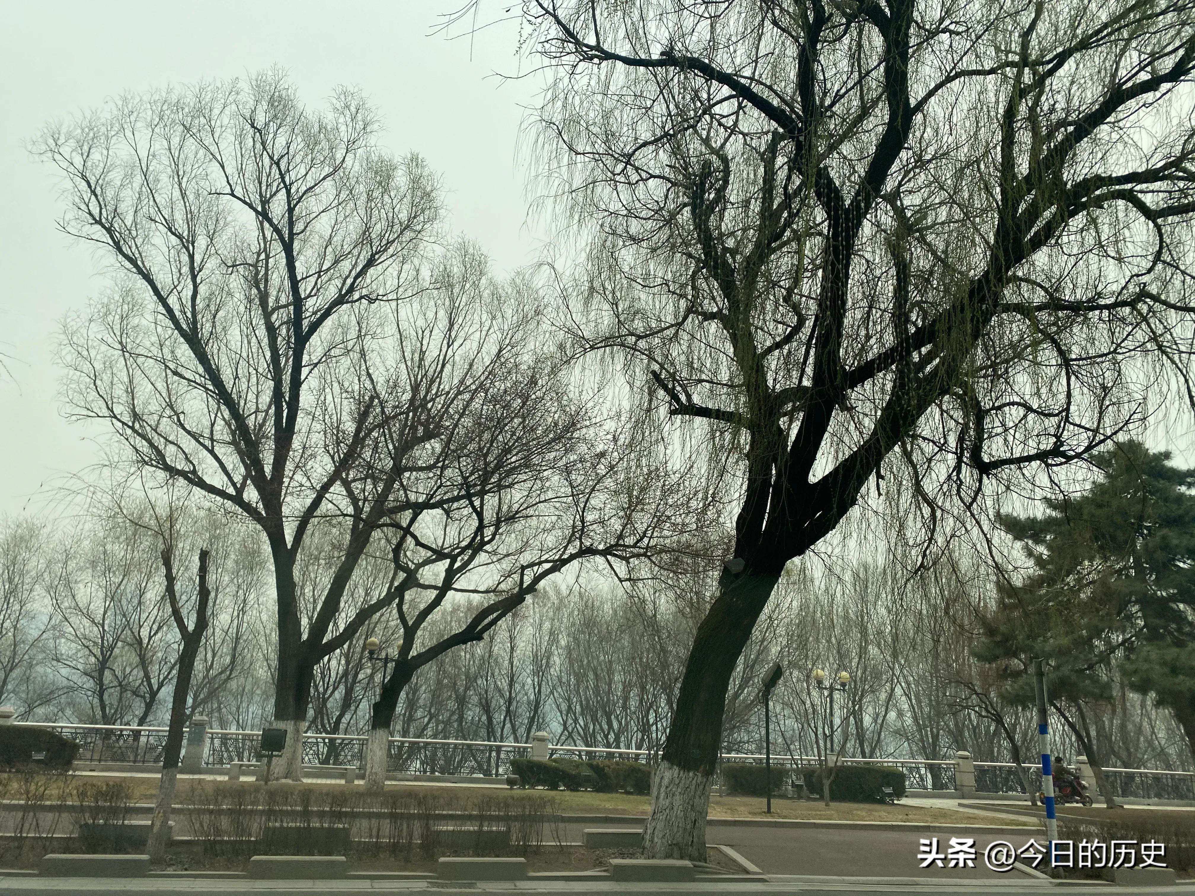 历史上的今天8月7日,历史上4月7日有什么大事发生