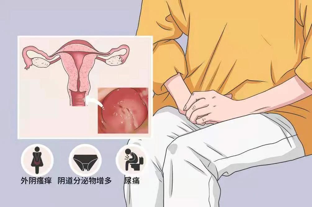 凡士林和维生素e的作用与用途,过期的维生素e有什么用途