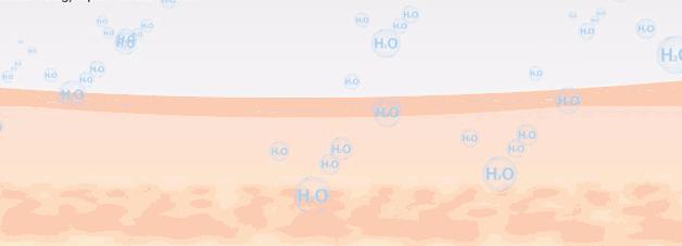 雅诗兰黛抗衰好还是兰蔻抗衰好,兰蔻和雅诗兰黛护肤品哪个抗衰好