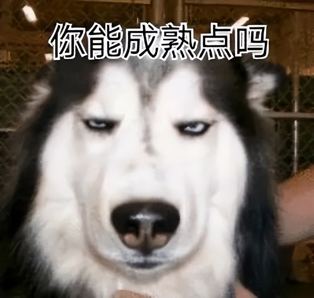 气场强大正直可靠的星座,为人有点傲气因此容易吃亏的星座