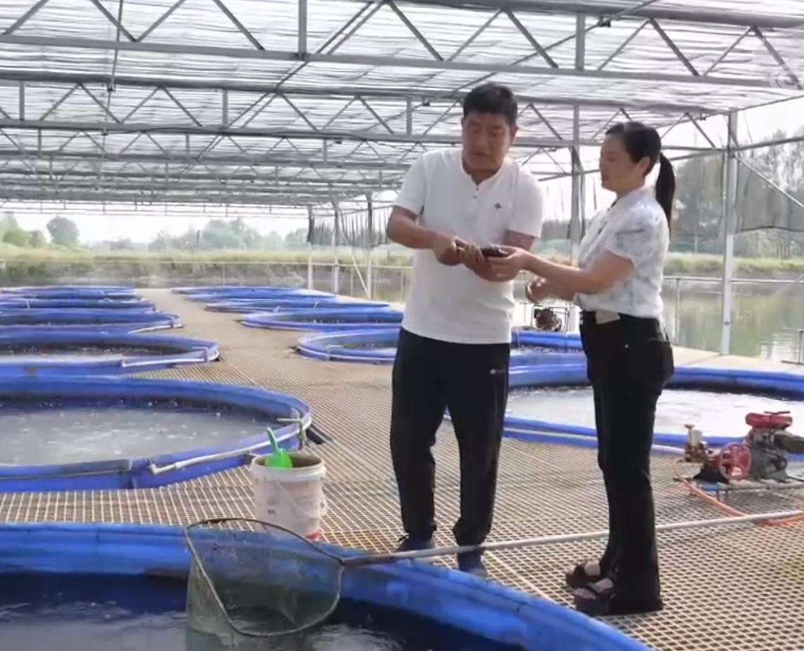 湖北女子独创大桶养鱼新模式，一桶鱼能卖到5万元，靠此年入百万