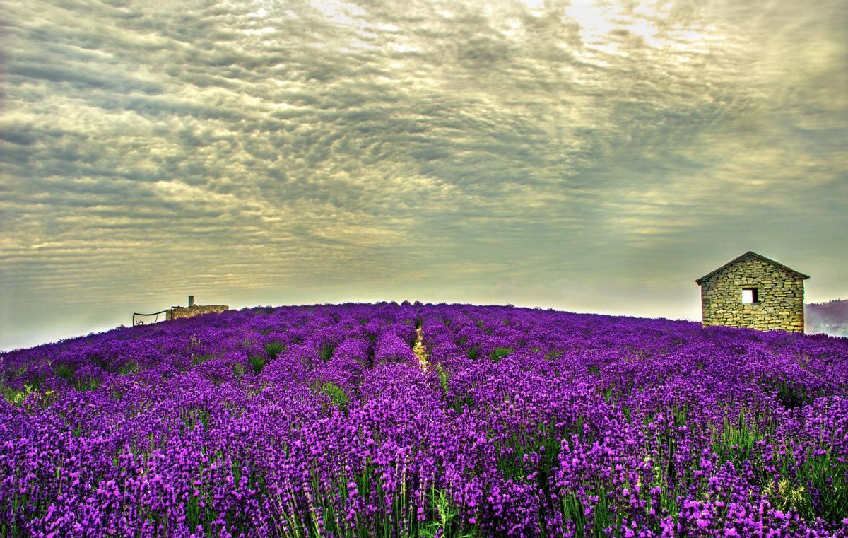 小镇风云西班牙,小镇风云冰封