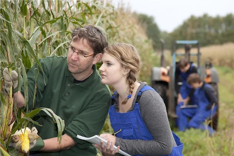 乡村振兴培训品牌标准,农创品牌成为乡村振兴新抓手