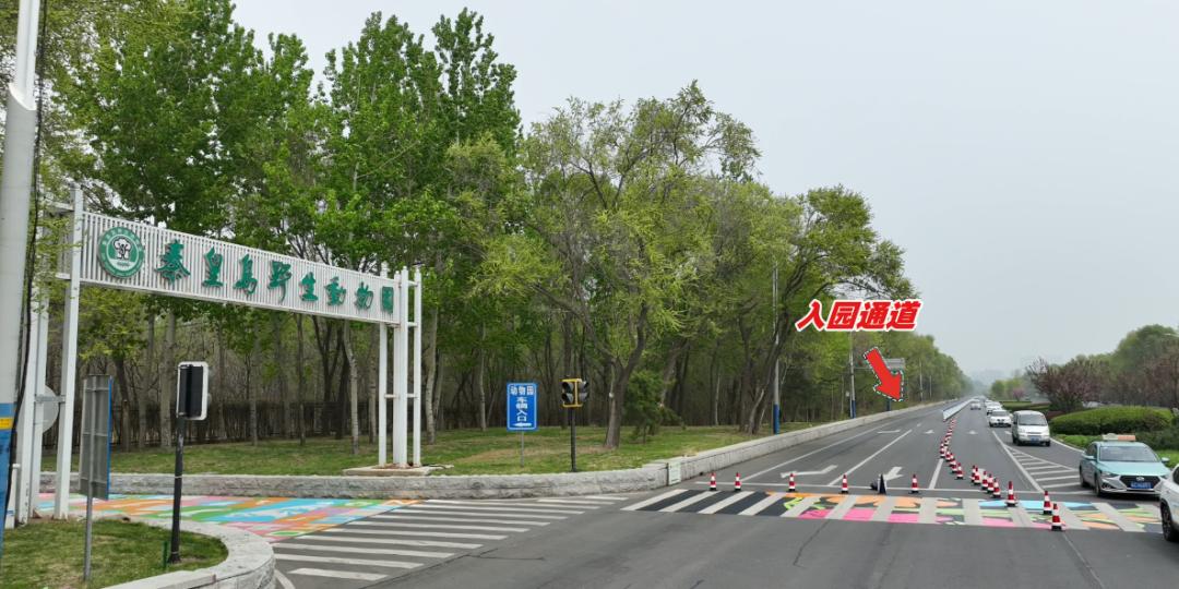 秦皇岛五一假日游玩攻略,秦皇岛景点停车攻略视频