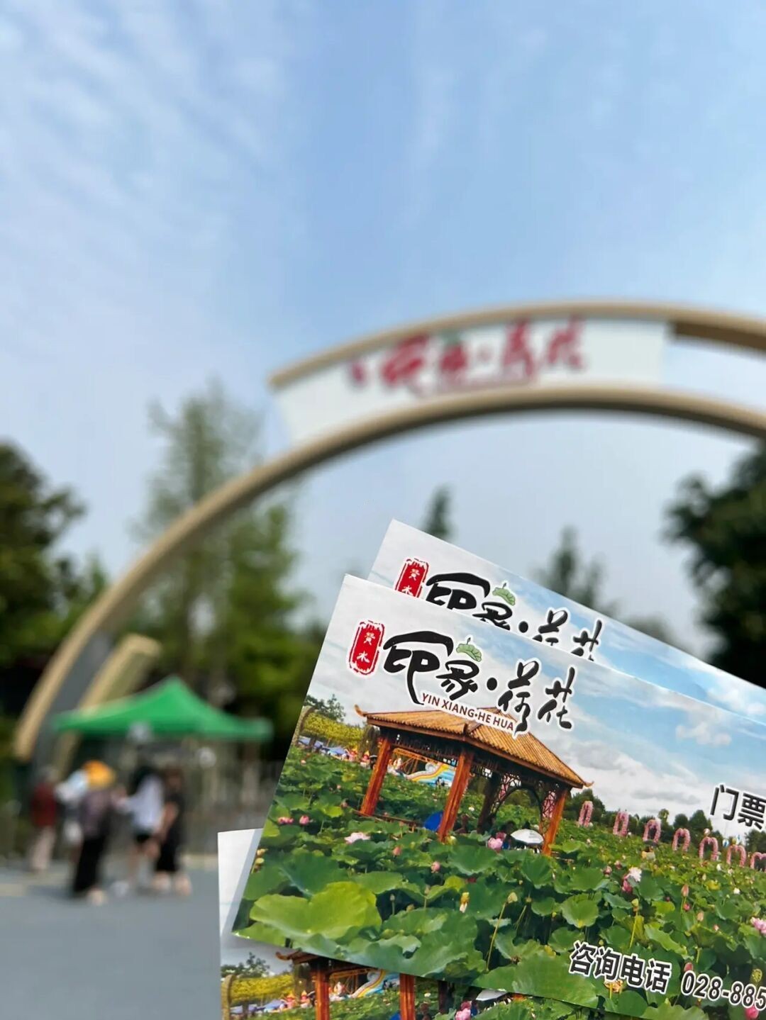 成都荷花最佳观赏地,成都看荷花的景点推荐