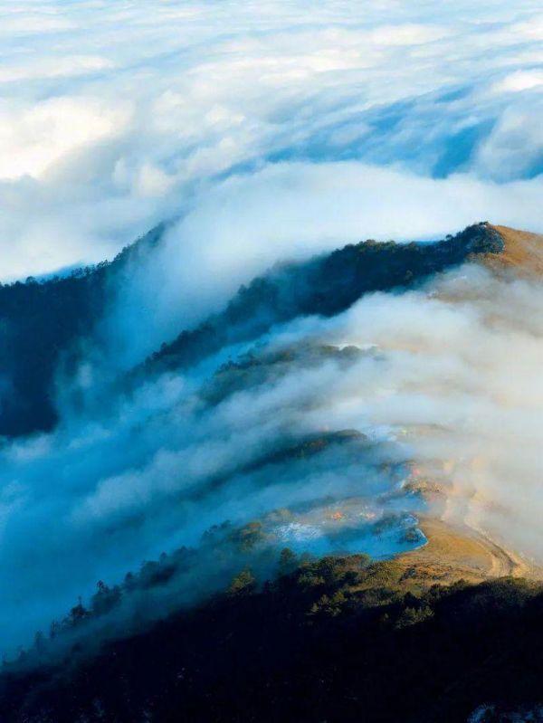 水井坊1号菌群,水井坊一号