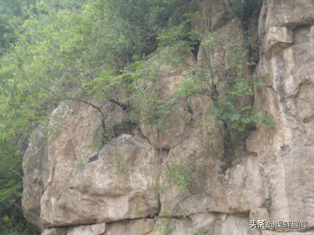 横水卸甲坪旅游路线,横水卸甲坪风景