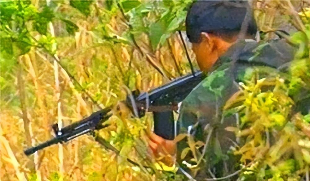 悍匪排行榜刘华强,刘华强算不算十大悍匪