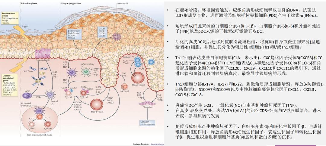 5省市开展化妆品个性化试点：风口上的精准护肤有哪些入局机会？