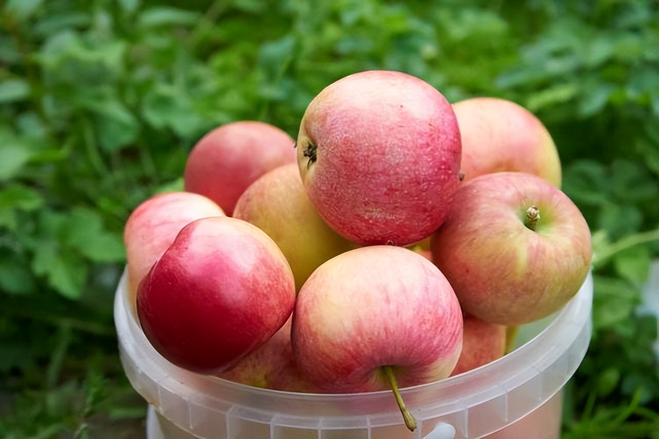 6种容易伤胃的水果,吃什么水果养胃和伤胃