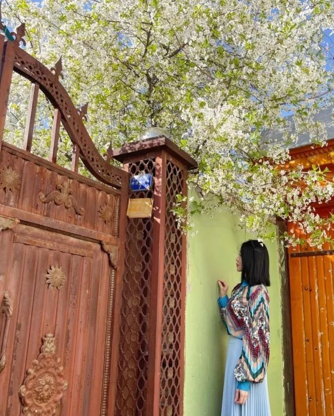 那拉提空中草原雪景照片,大草原的壮丽雪景图