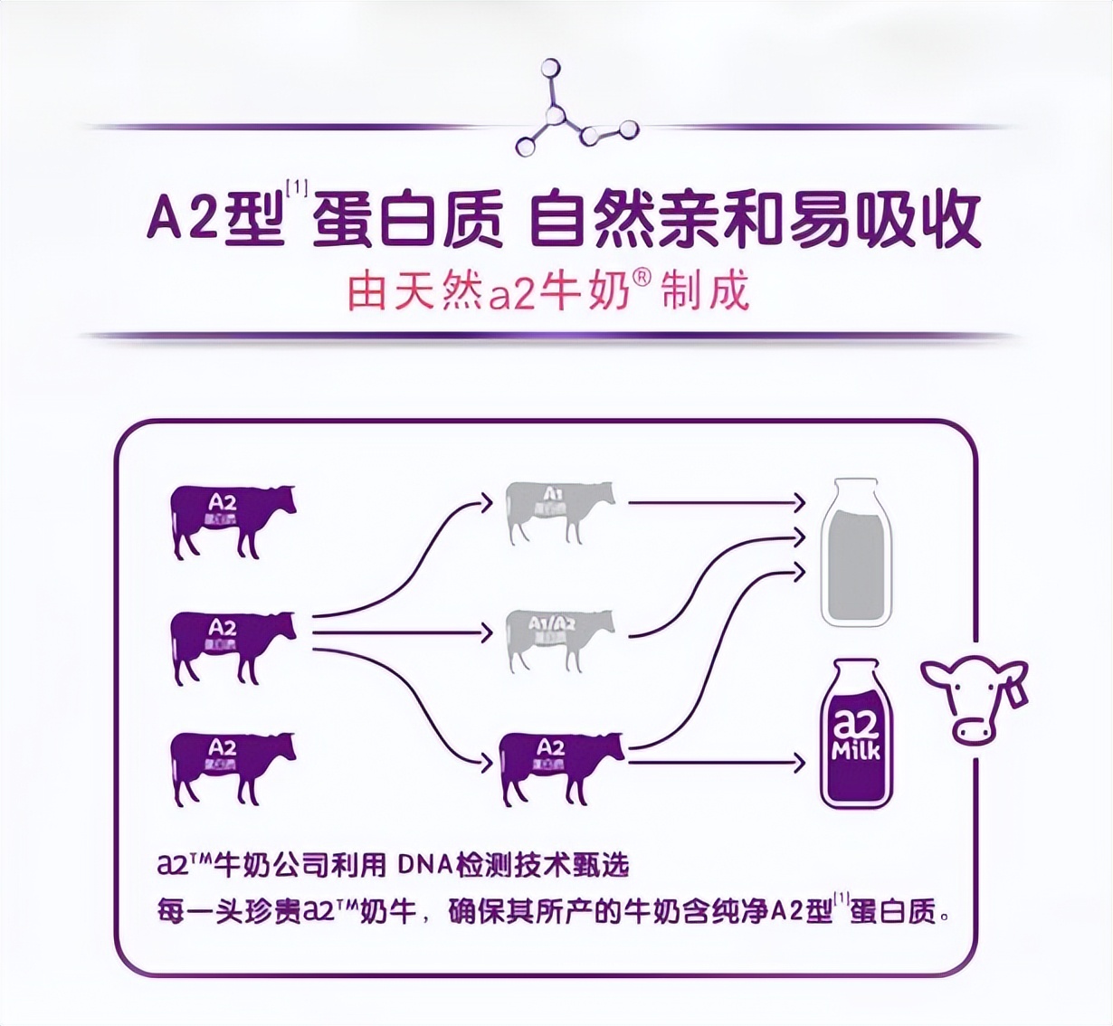 怀孕几个月就不能喝孕妇奶粉了,刚怀孕孕妇喝什么奶粉对胎儿好