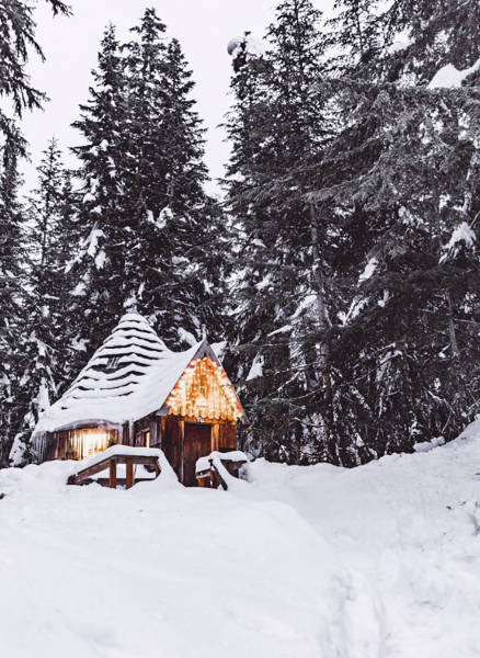 80个难得一见的图片,100个难得一见照片