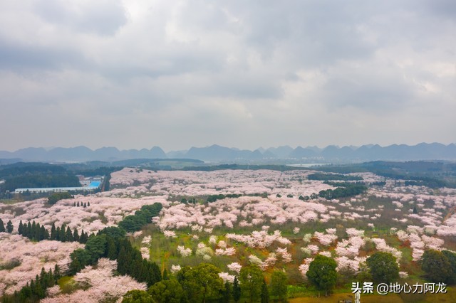 疫情憋在家不能出去,疫情憋的太久出去散散心