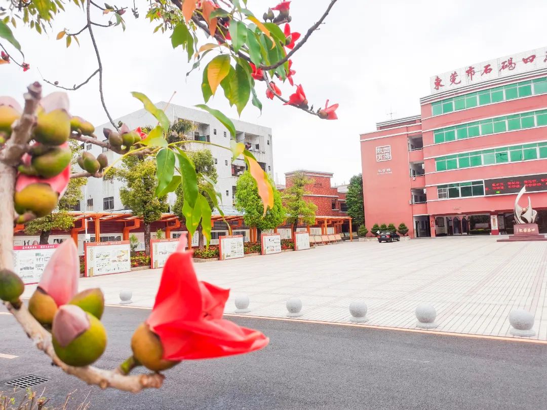 石碣四海学校和碣识学校哪个好,东莞石碣四海学校2018级